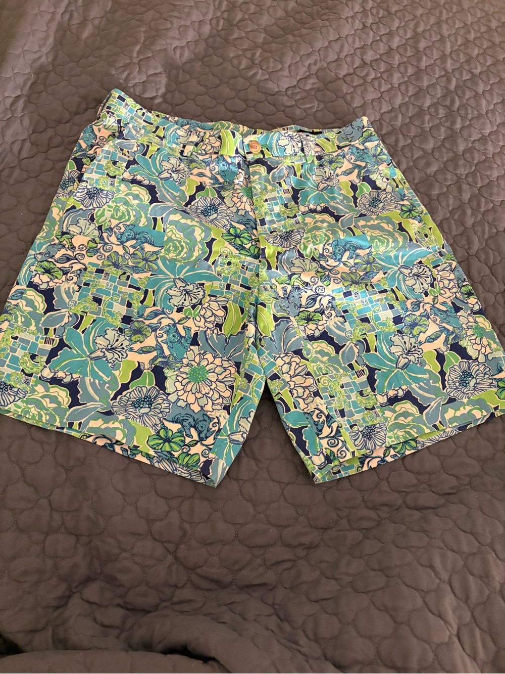 Lilly Pulitzer Men's Palm Beach Everglade Shorts 34